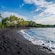 Water lapping onto the shore of a tropical beach with palm trees